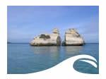 Roca