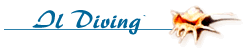 Il diving
